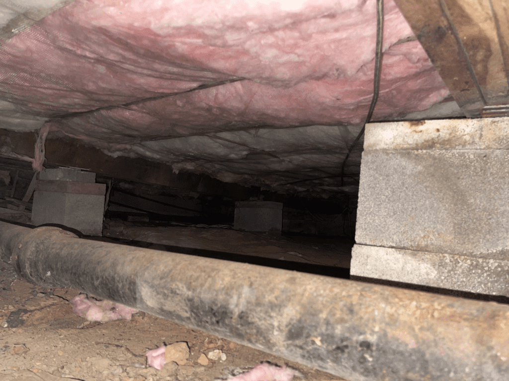 crawl space insulation removal